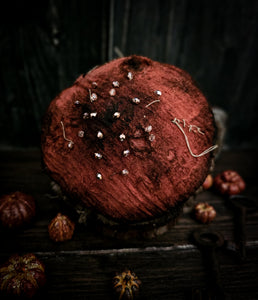 4.7 autumn mushroom