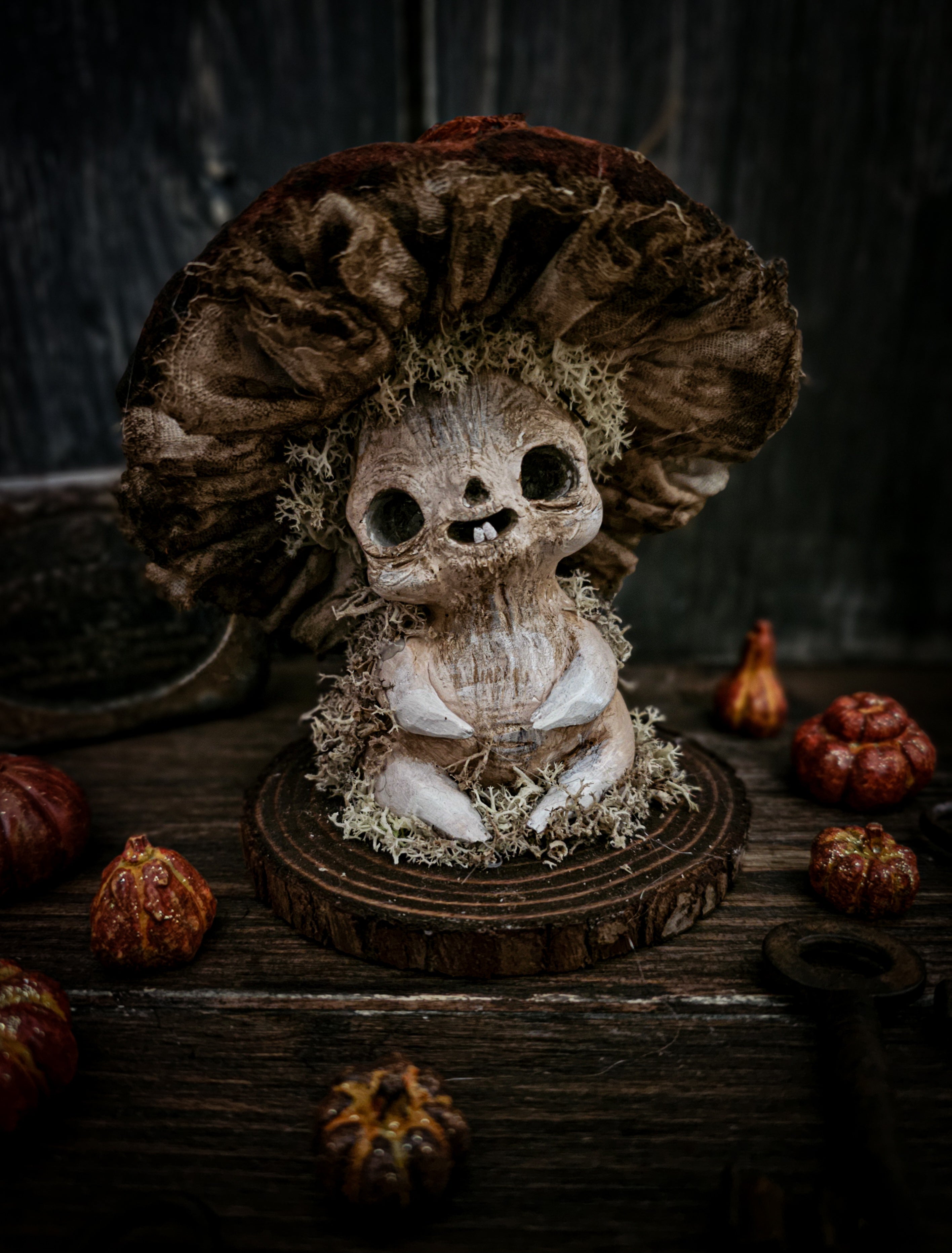 4.7 autumn mushroom