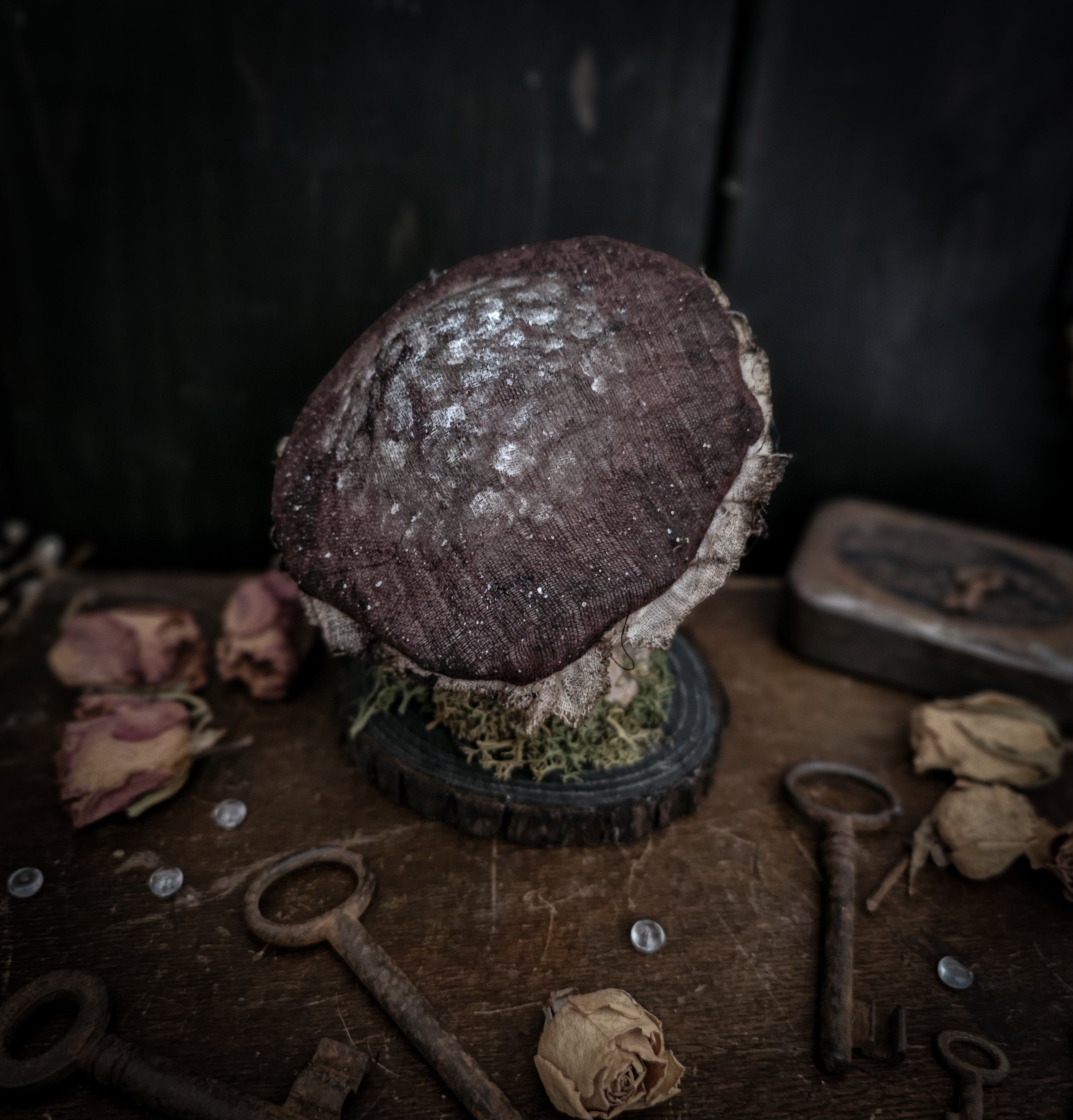 4.7" mummified mushroom